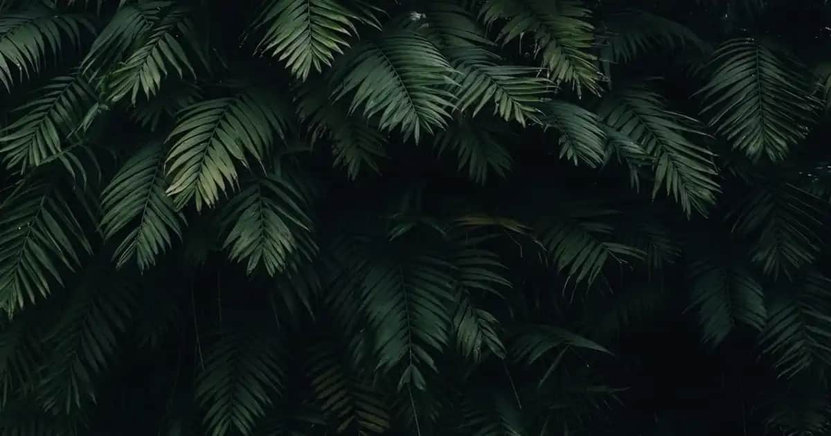 Çocuklar İçin Güvenli Kozmetik Ürünleri Seçimi ve Trendler Hakkında Kapsamlı Bilgi