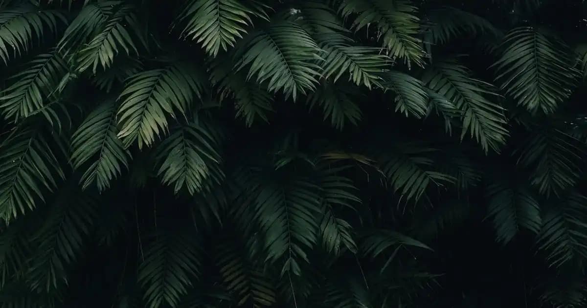 Çocuklar İçin Güvenli Kozmetik Ürünleri Seçimi ve Trendler Hakkında Kapsamlı Bilgi