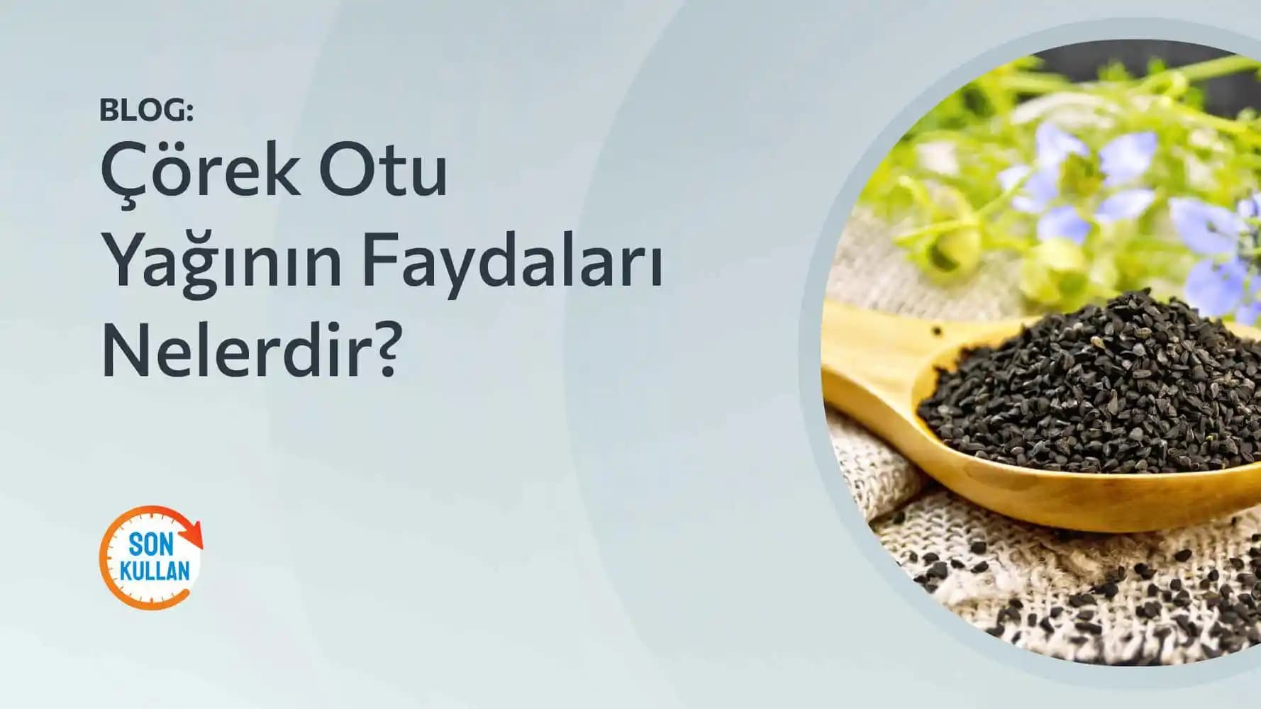 Corek Otu Faydaları ve Kozmetik Kullanımları Doğal Güzellik İçin Bilmeniz Gerekenler