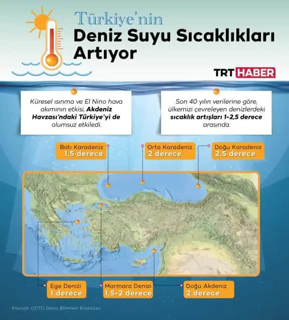 Deniz Suyu ve Sivilce: Doğal Bir Çözüm mü Cilt Sağlığı Üzerindeki Etkileri