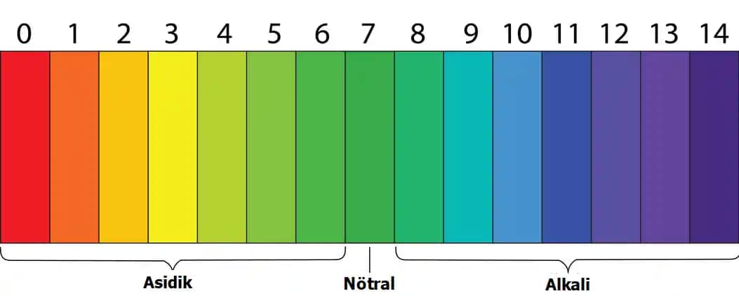 Deri pH değeri ve cilt sağlığı: doğru ürün seçimi ve bakım ipuçları