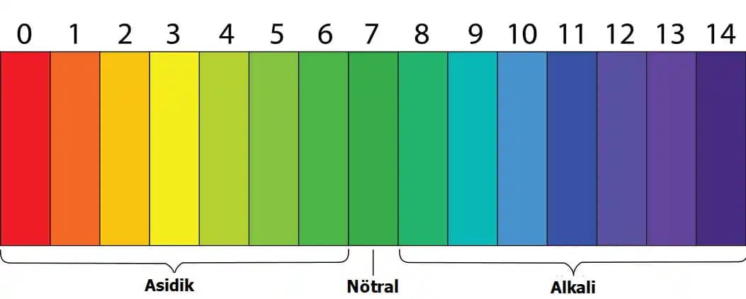 Deri pH değeri ve cilt sağlığı: doğru ürün seçimi ve bakım ipuçları