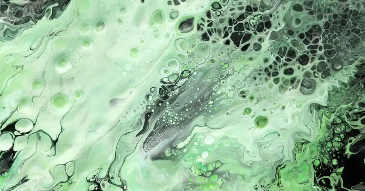 Dikiş Pansumanı Nasıl Yapılır: Adım Adım Rehber ve Bakım İpuçları