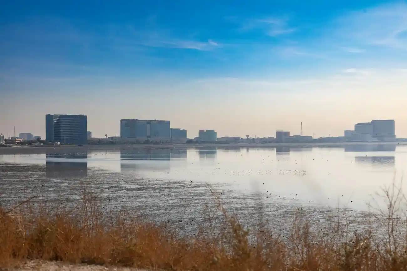 Diyet Türleri ve Güzellik Sırları: Doğru Diyetle Cilt Sağlığını Destekleme Rehberi