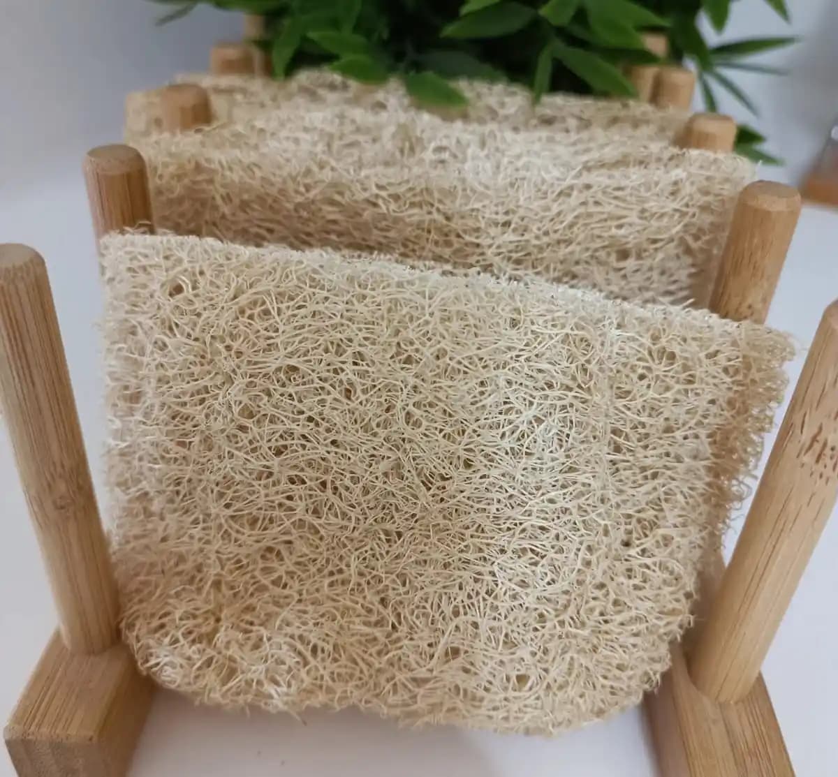 Doğal Sünger Nedir ve Neden Güzellik ve Bakımda Tercih Ediliyor