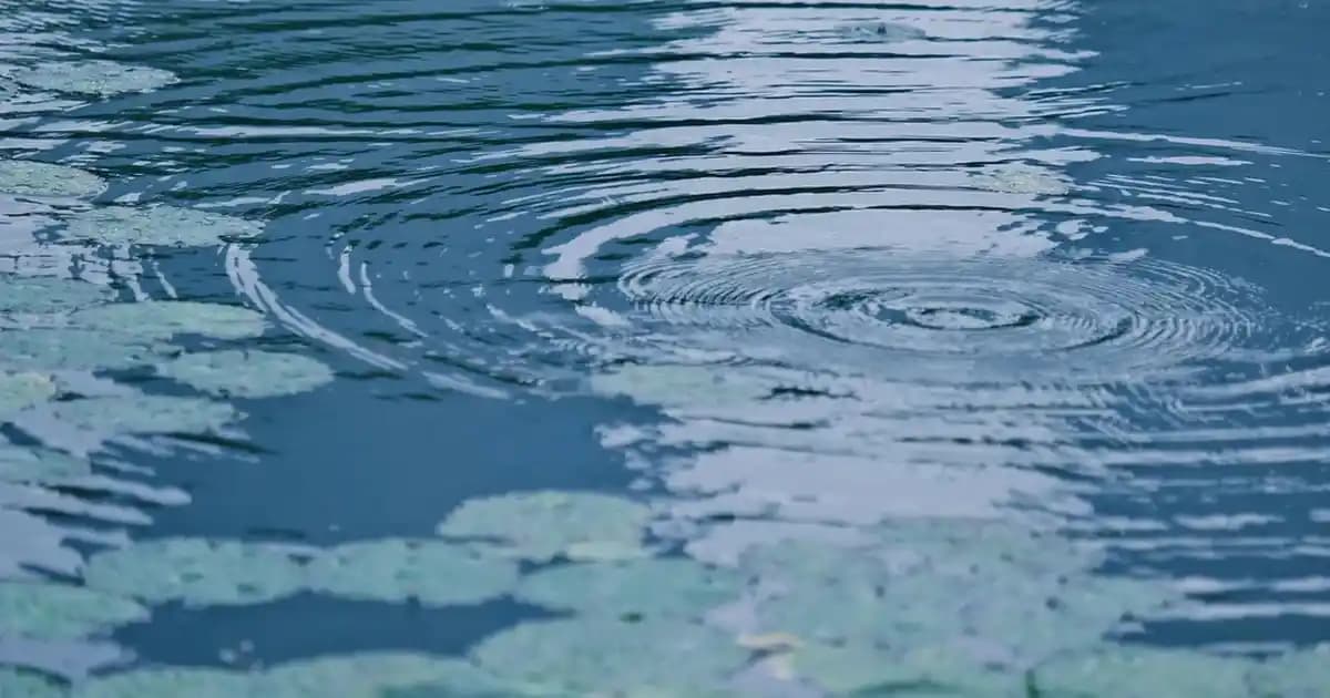 Doğal Yollarla Saç Boyama Yöntemleri ve Sağlıklı Güzellik İpuçları