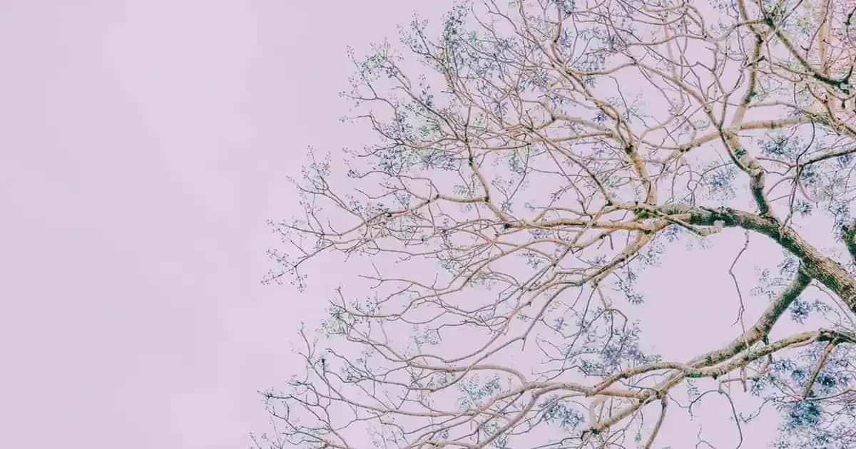 Doğru Duş Jeli Seçimi ve Cilt Sağlığı İçin Bilmeniz Gerekenler