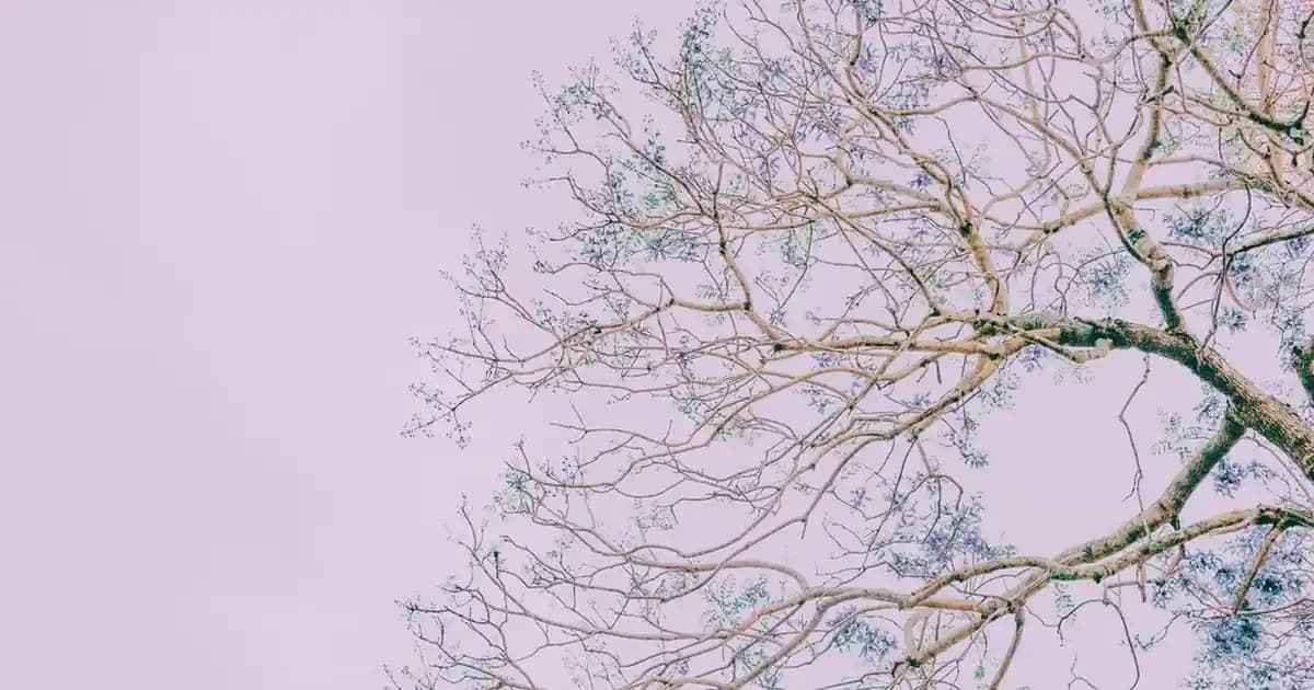 Doğru Duş Jeli Seçimi ve Cilt Sağlığı İçin Bilmeniz Gerekenler