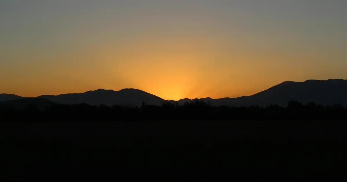 Erkek Jiletleri ve Bakım İpuçları: Doğru Seçim ve Kullanım Yöntemleri