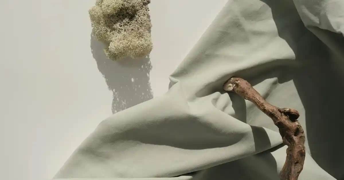 Erkekler İçin Vitaminler: Sağlıklı Bir Yaşamın Anahtarı ve Doğru Kullanım İpuçları