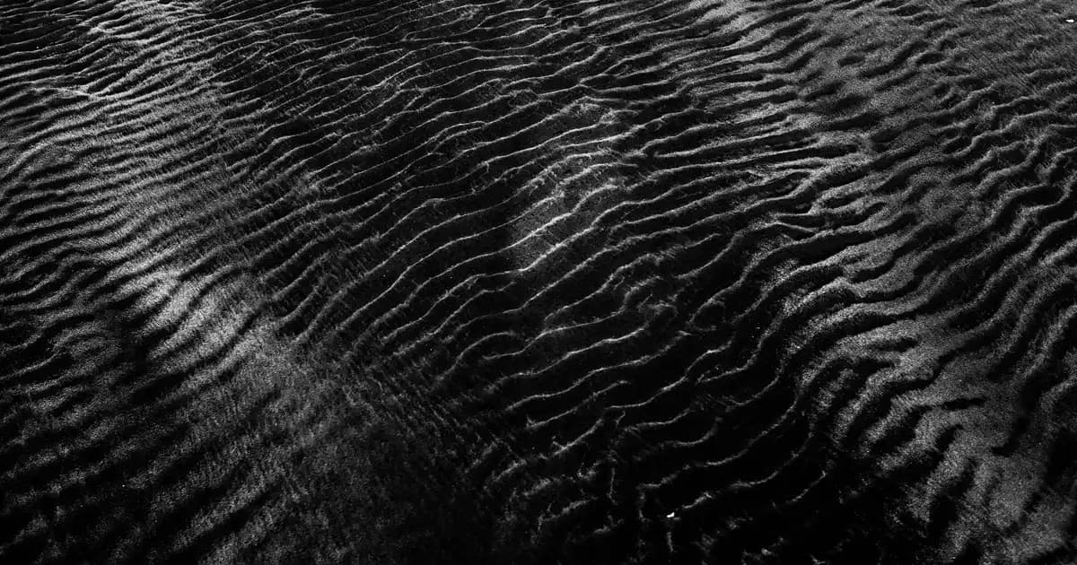 Eski Parfüm Markalarının Tarihsel Önemi ve Günümüzdeki Yeri Hakkında Detaylı Bilgi