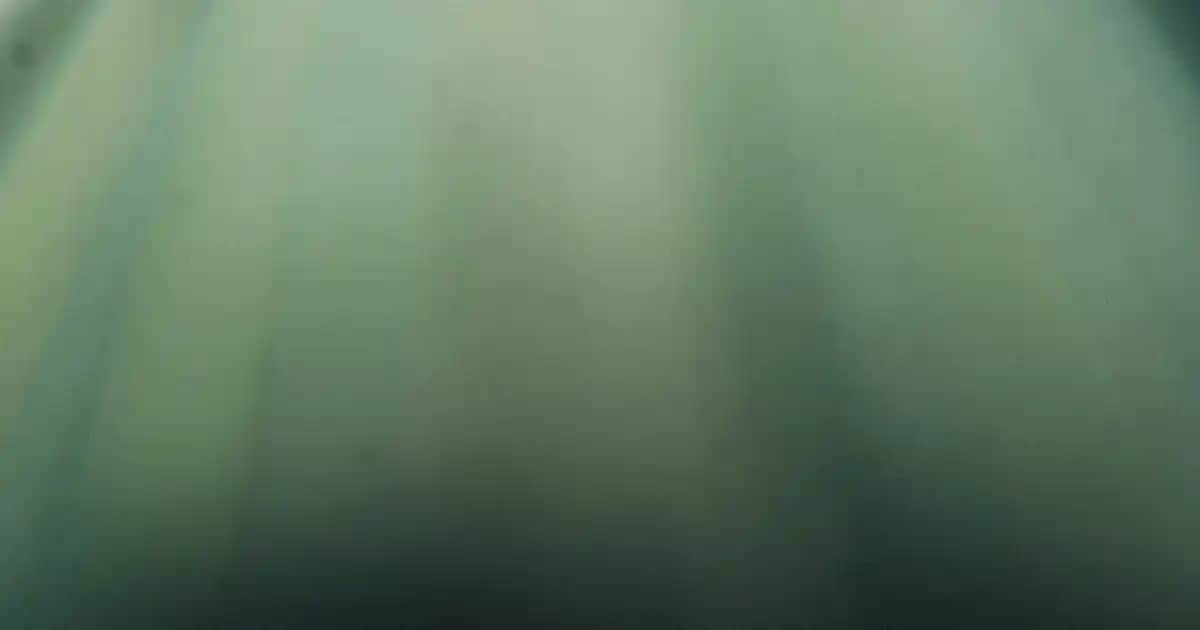 Evde Doğal ve Ekonomik Fondöten Yapımı Rehberi