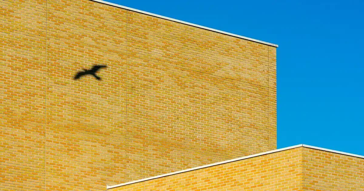 Farmasi Sürme Ürünleriyle Göz Makyajında Şıklık ve Kalitenin Anahtarı