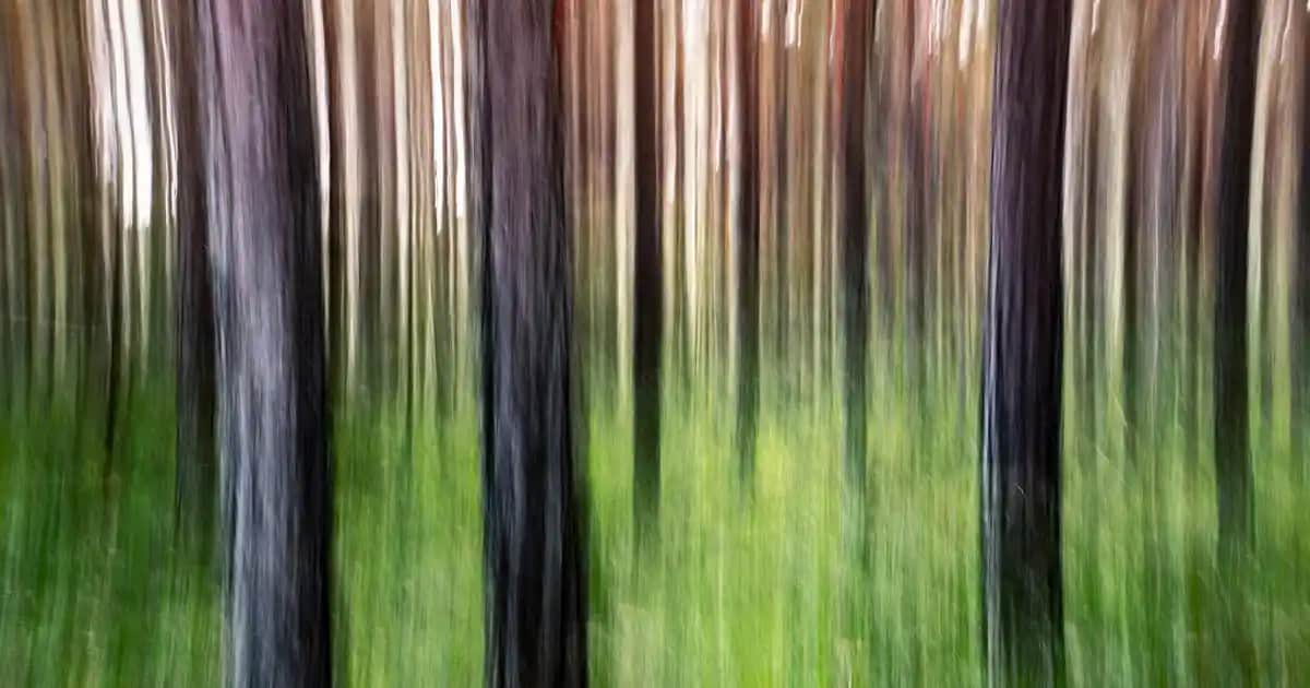 Gebelik Testlerindeki Silik Çizgi ve Kozmetik Dünyasındaki Yeri Analizi