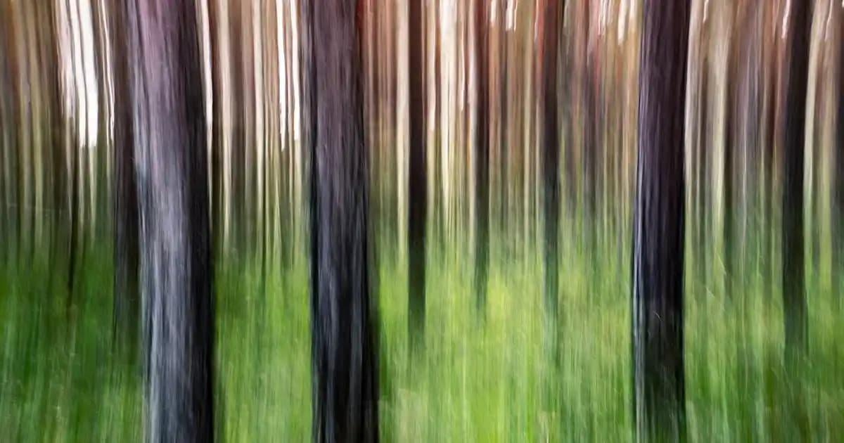 Gebelik Testlerindeki Silik Çizgi ve Kozmetik Dünyasındaki Yeri Analizi