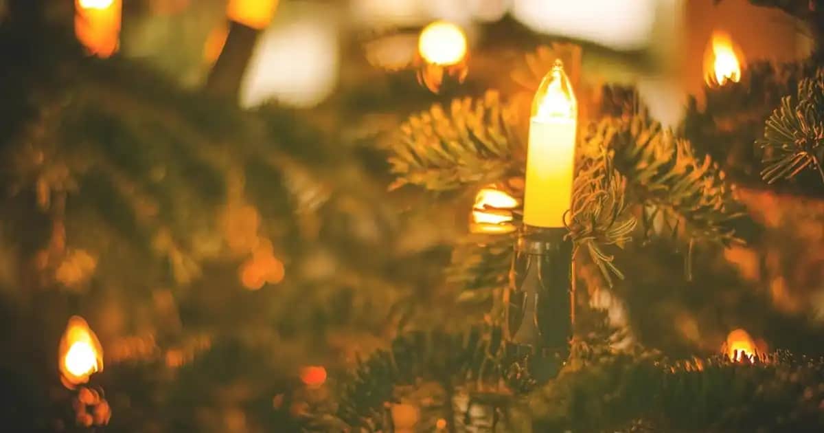 Genital ve Koltuk Altı Kararmalarını Azaltmak İçin Etkili Cilt Bakım Yöntemleri