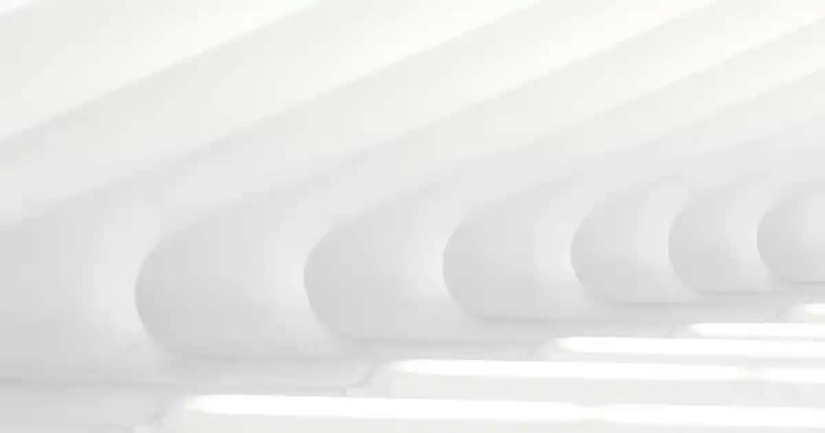 Ginkgo Biloba Özünün Kozmetik Sektöründeki Yükselişi ve Cilt Bakımındaki Faydaları