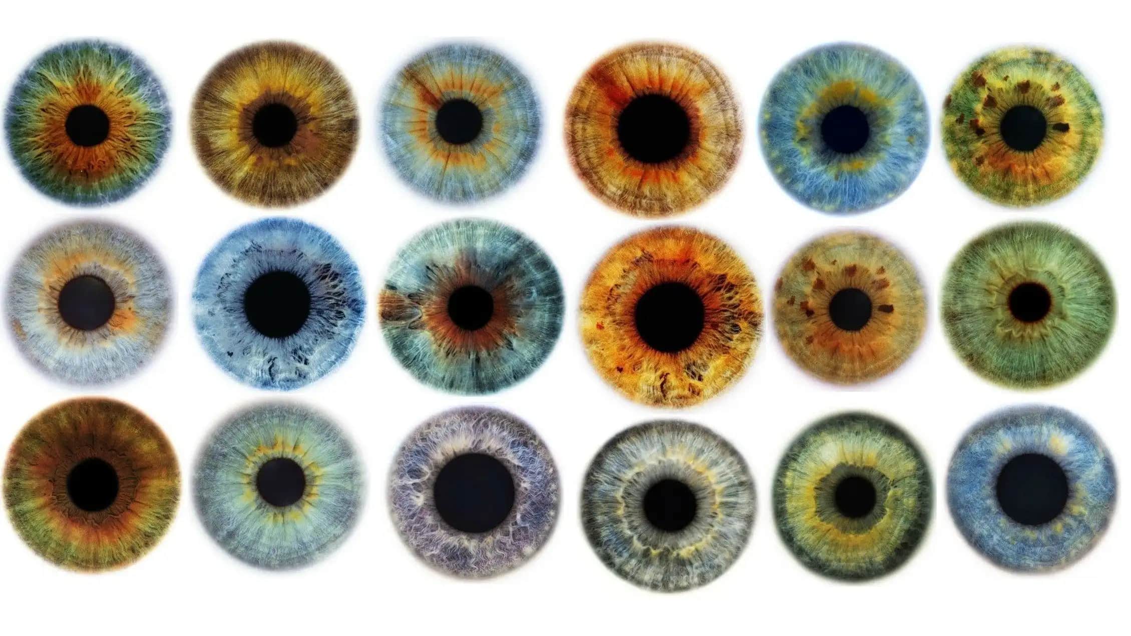 Göz Renkleri Çeşitleri ve Genetik Faktörler: Nadiren Görülen Renkler ve Anlamları