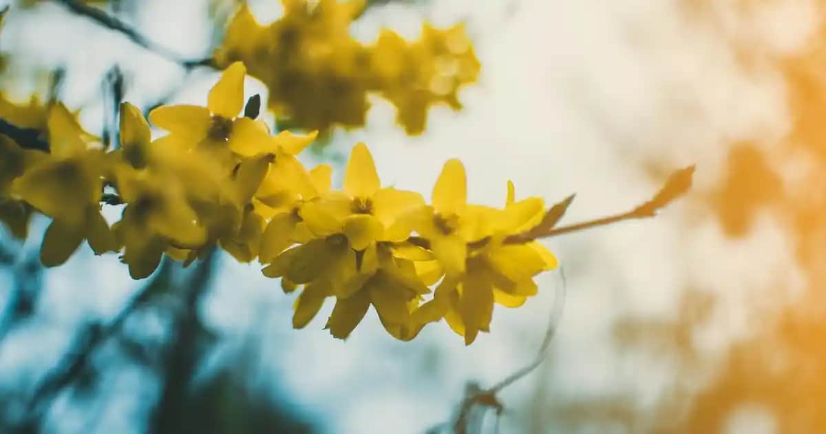 Gri Saç Erkeklerde Modern ve Kendine Güvenen Bir Tarzın Simgesi