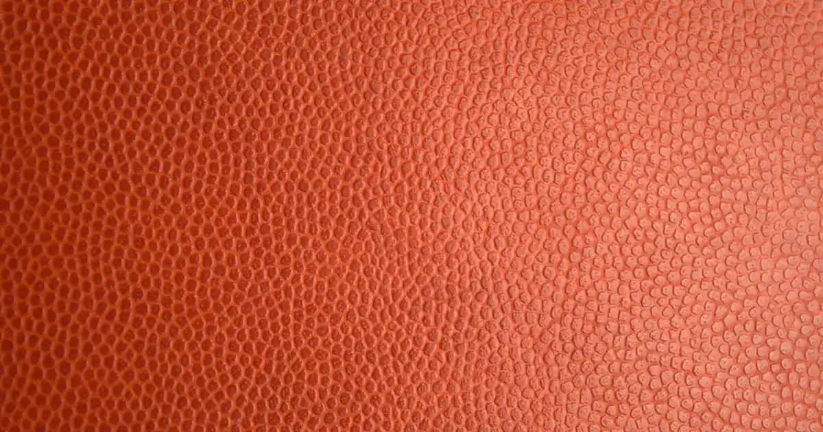 Gül Hastalığı Belirtileri, Nedenleri ve Etkili Bakım Yöntemleri Hakkında Kapsamlı Bilgi