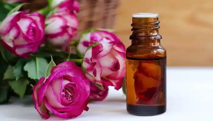 Gül Mayasının Yüze Faydaları ve Doğal Güzellik Sırları Hakkında Detaylı Bilgi