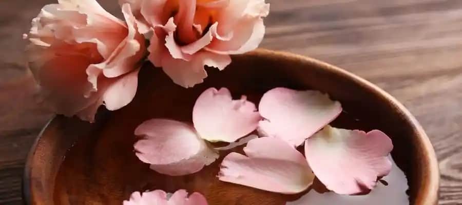 Gül Suyunun Saça Faydaları ve Doğal Bakımda Kullanım Yöntemleri