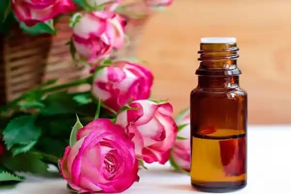 Gül Yağı ve Cilt Sağlığı: Doğal Güzellik Kaynakları ve Kullanım Yöntemleri