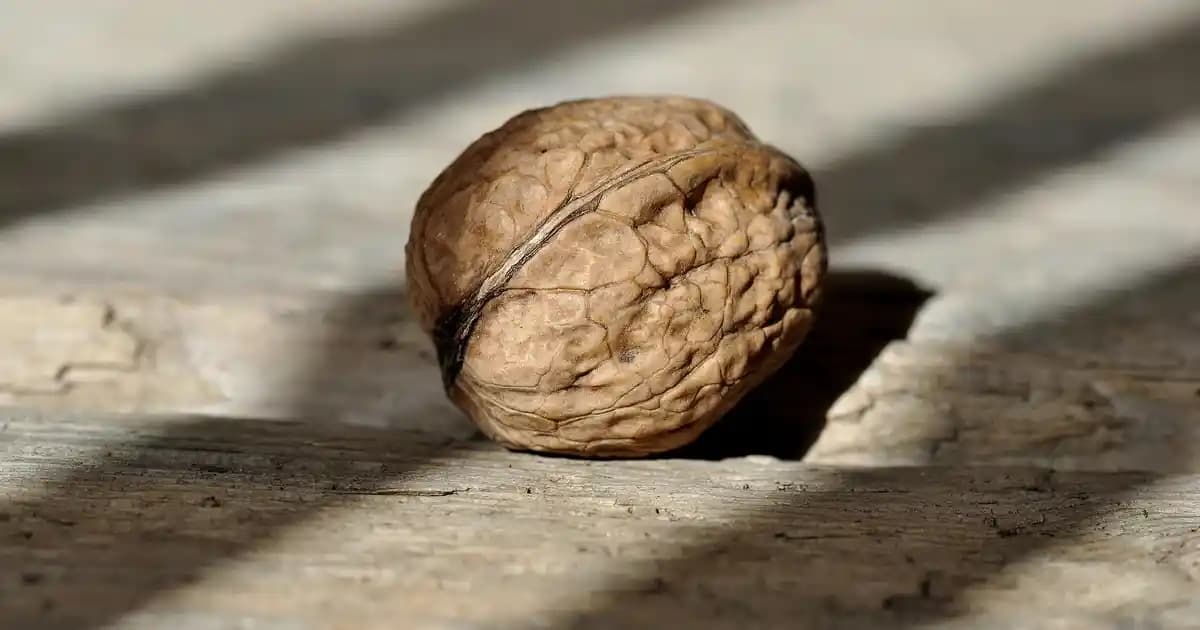 Gümüş Gül El Kremi: Doğal İçeriklerle Cilt Koruma ve Nemlendirme Çözümü