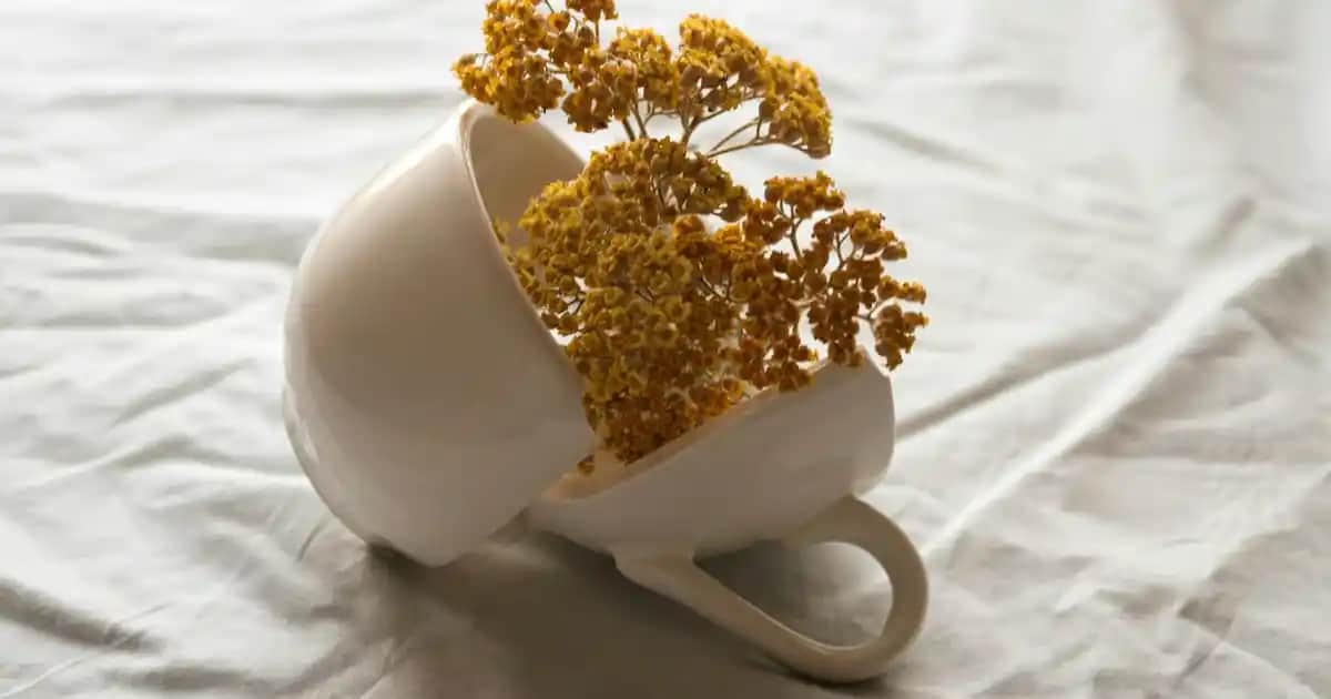 Güneş Koruyucu Kremlerinde İndirim Fırsatları ve Doğru Seçim İpuçları