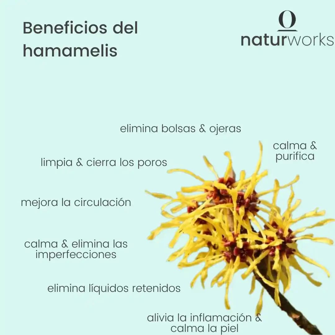 Hamamelis Bitkisinin Cilt Sağlığına Katkıları ve Doğal Kullanım Yöntemleri