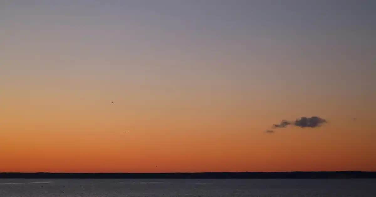 Hamilelikte Çatlakları Önleyen Doğal Yağlar ve Cilt Koruma Yöntemleri
