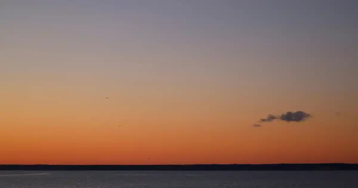 Hamilelikte Çatlakları Önleyen Doğal Yağlar ve Cilt Koruma Yöntemleri