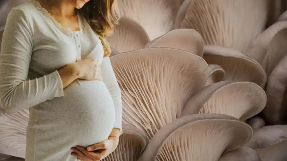 Hamilelikte Güvenli Cilt Bakımı ve Yüze Maske Yapmanın Doğru Yöntemleri