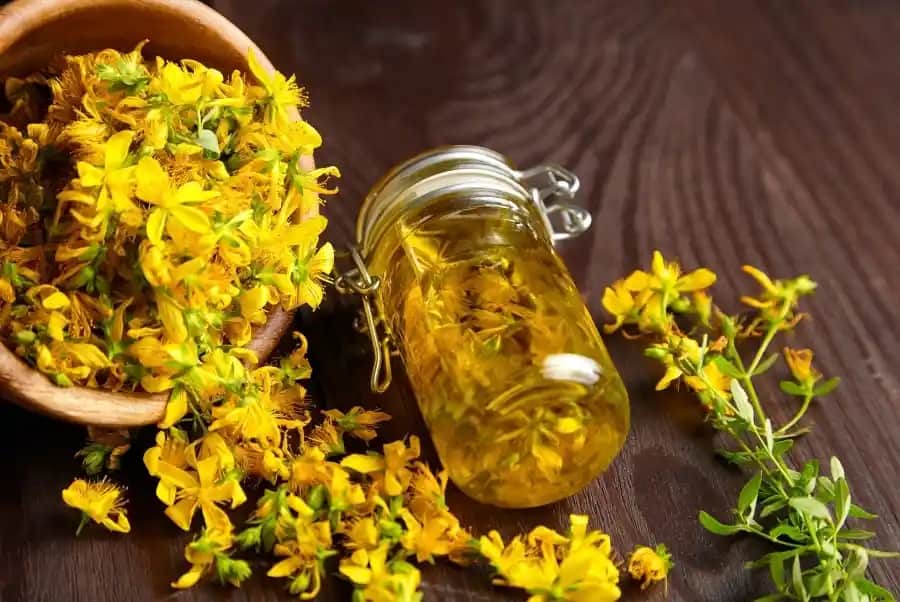 Hamilelikte Kantaron Yağı Kullanımı: Güvenlik ve Bilinçli Yaklaşımlar