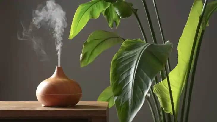 Hava Nemlendiricilerin Güzellik ve Sağlığa Katkıları Kozmetik Trendleri 2023