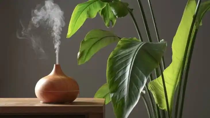 Hava Nemlendiricilerin Güzellik ve Sağlığa Katkıları Kozmetik Trendleri 2023