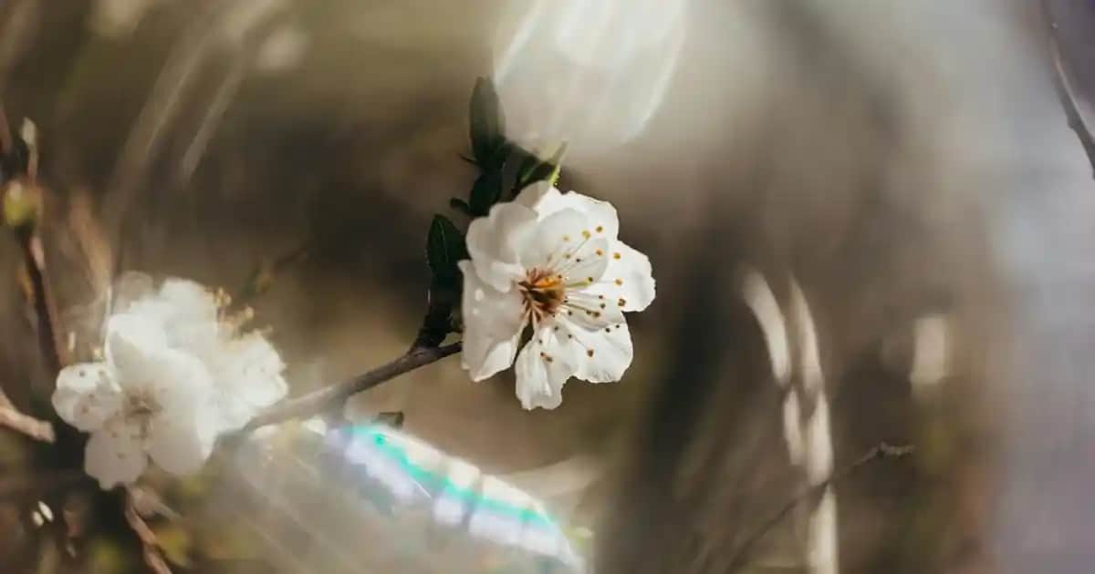 Hidrokinonun Cilt Üzerindeki Faydaları ve Kullanım İpuçları