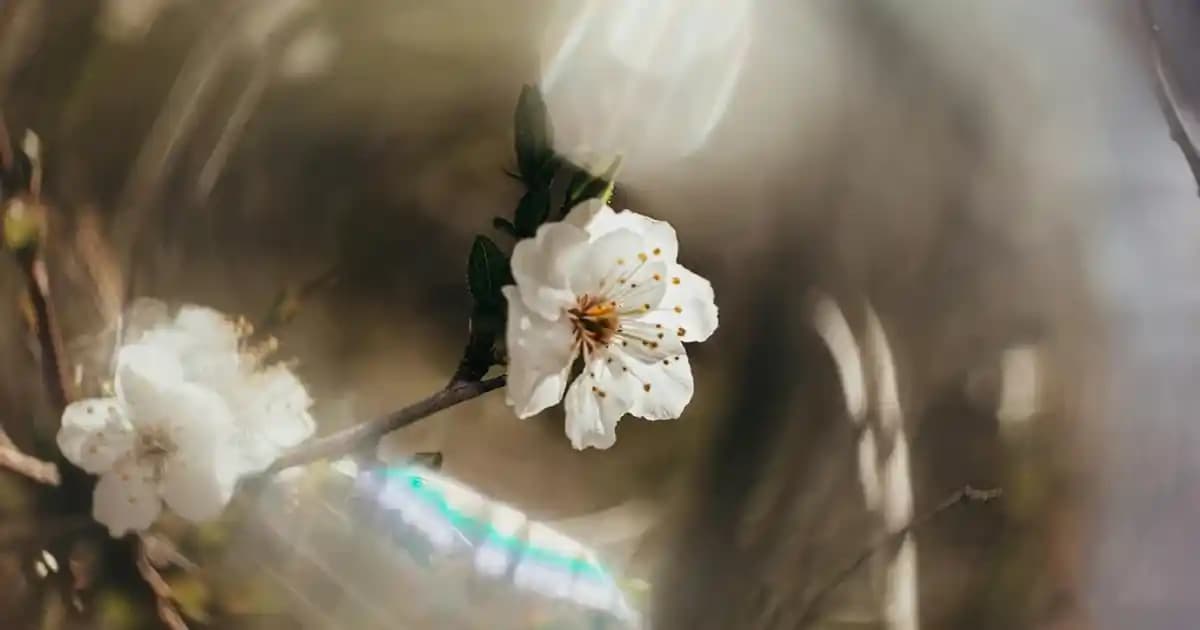 Hidrokinonun Cilt Üzerindeki Faydaları ve Kullanım İpuçları