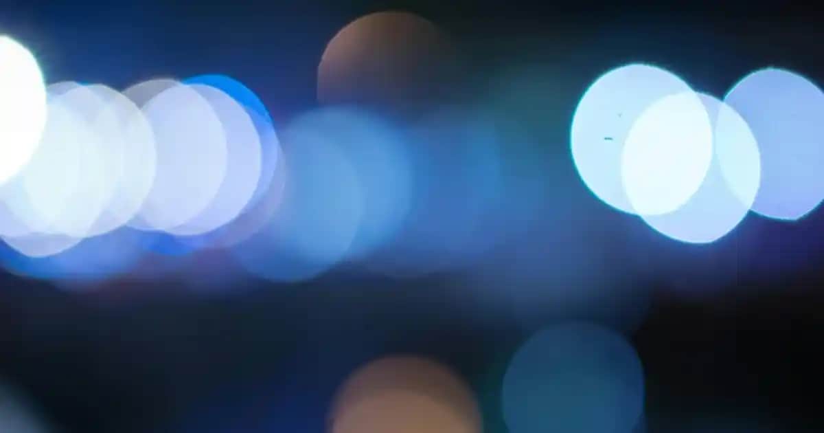 İlık Yağı Nedir, Faydaları ve Kullanım Alanları Hakkında Detaylı Bilgi