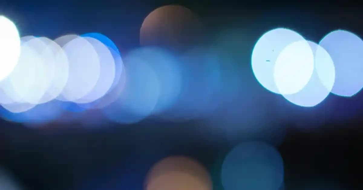 İlık Yağı Nedir, Faydaları ve Kullanım Alanları Hakkında Detaylı Bilgi