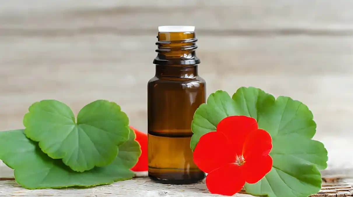 Itır Yağı: Doğal Güzellik ve Sağlık İçin Faydaları ve Kullanım Alanları