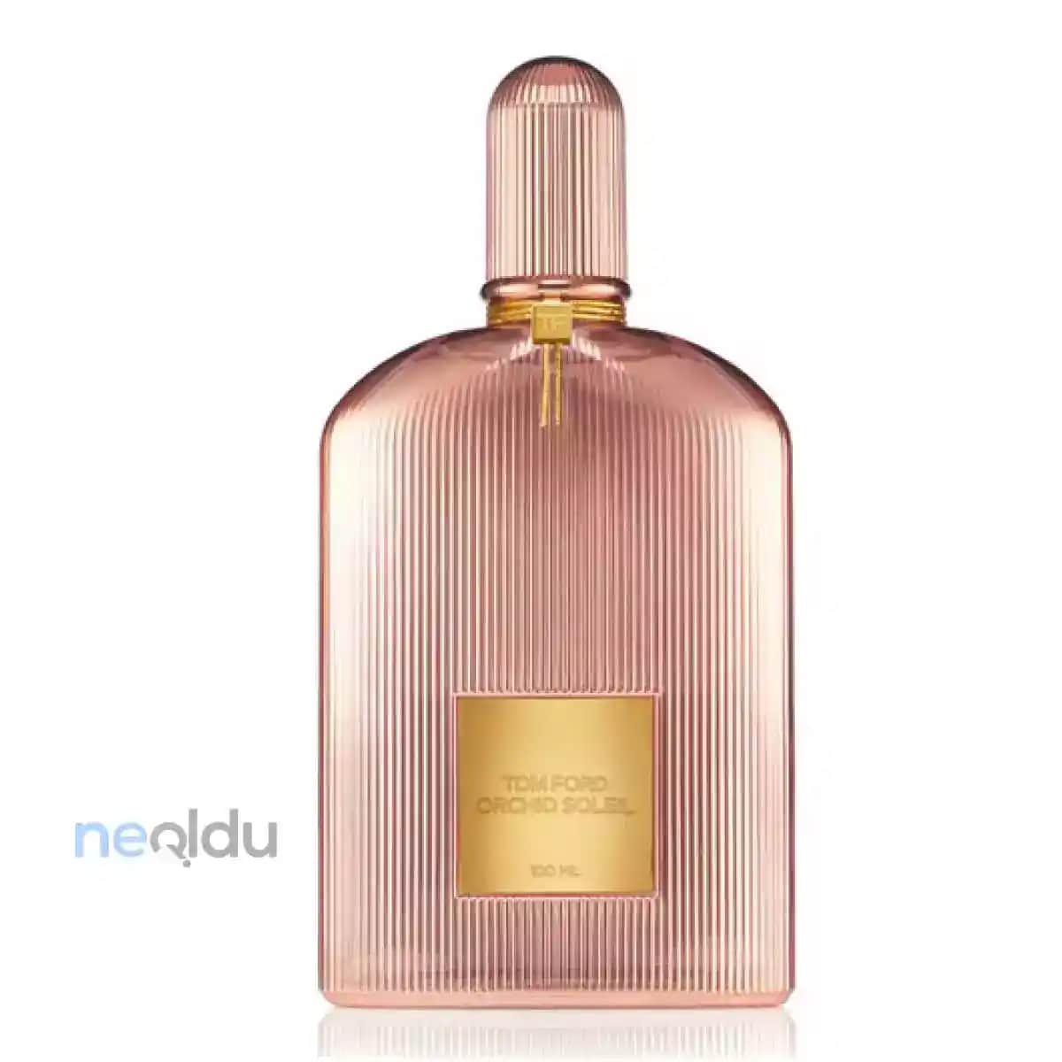 Kadınlar İçin En İyi Parfüm Markaları ve Seçim Rehberi 2023