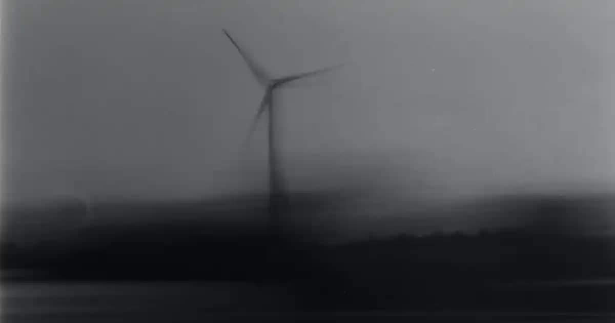 Kafa İçinde Yara Çıkması Nedenleri Belirtileri ve Kozmetik Yaklaşımlar