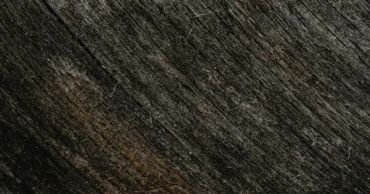 Kalıcı ve Güvenilir Cilt Beyazlatma Kremleri Hakkında Detaylı Rehber