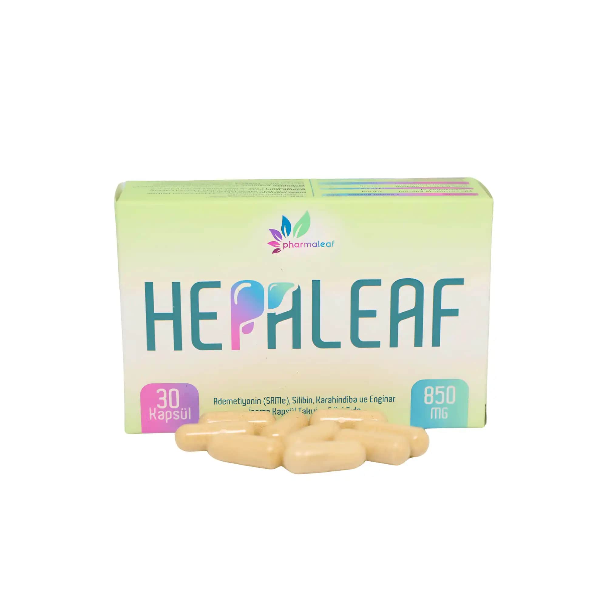 Karaciğer Sağlığını Destekleyen Takviyeler ve Doğru Kullanım Yöntemleri