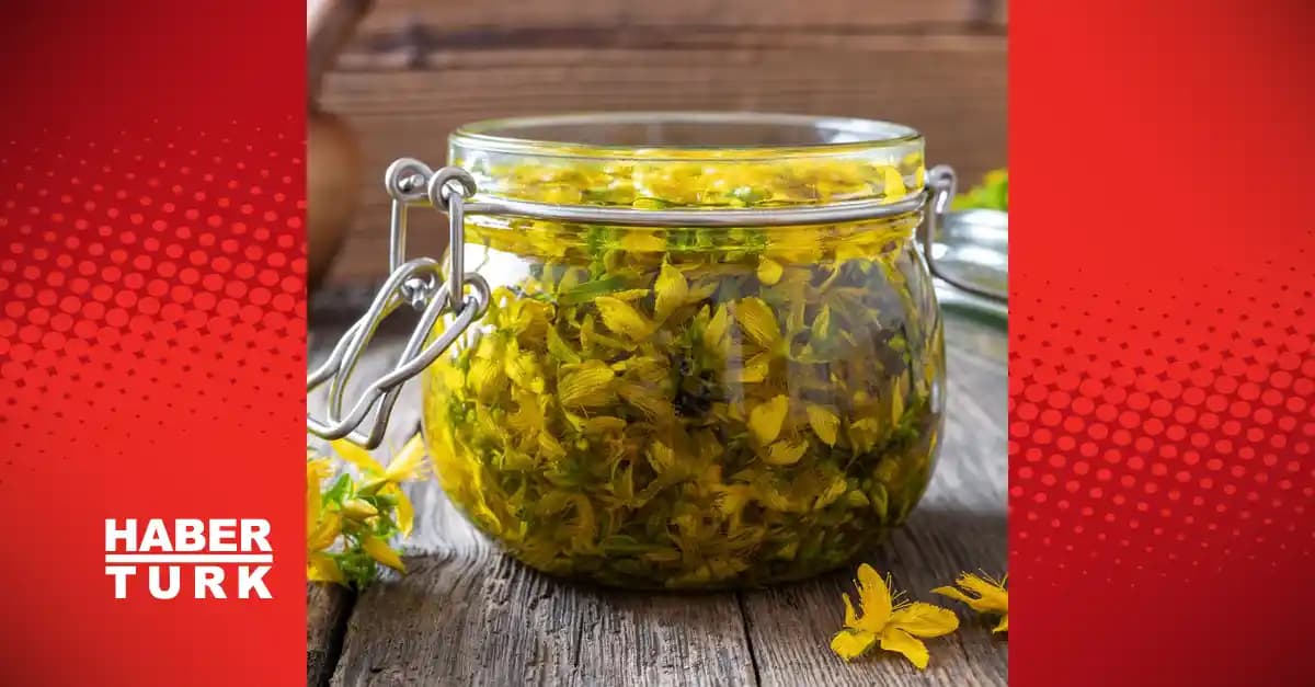 Karınca Yağı ve Cilt Bakımındaki Faydaları: Doğal Güzellik İçin Güçlü Bir Seçenek