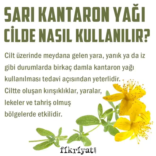 Katran Yağı ve Kozmetikteki Yeri: Cilt Sağlığı ve Doğal Bakım Fırsatları