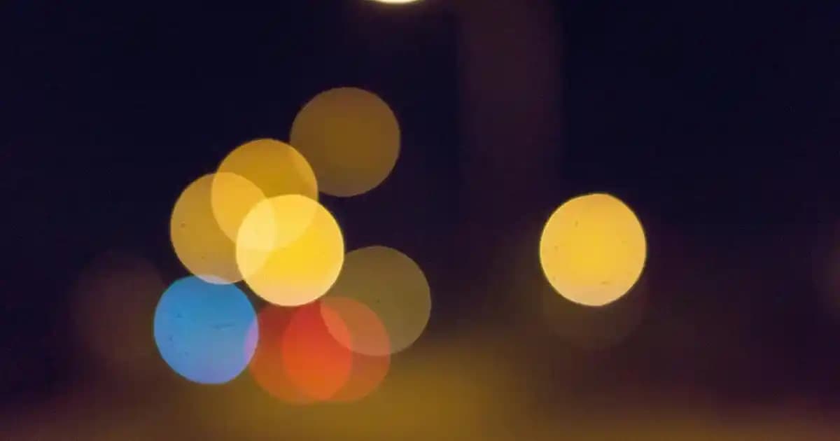 Kava Kava ve Kozmetik Sektöründe Doğal Güzellik Kaynağı Analizi