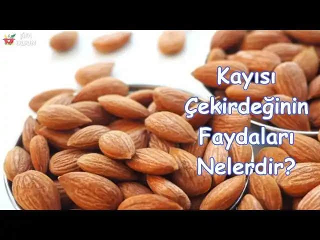 Kayısı Çekirdeğinin Güzellik Sırları: Cilt ve Saç Sağlığına Faydaları Analizi