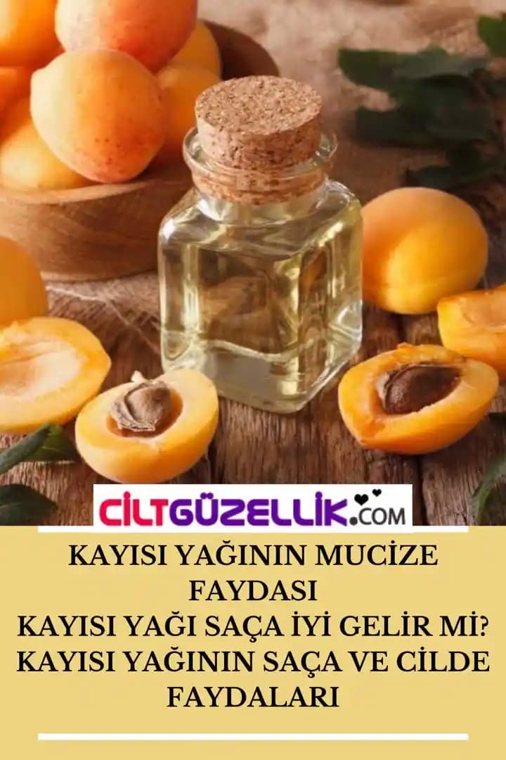 Kayısı Yağının Güzellikteki Yeri ve Faydaları: Doğal Bakımın Güçlü Seçeneği